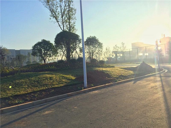 昭通卫生职业学院