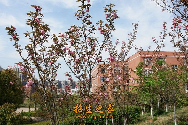 学校环境